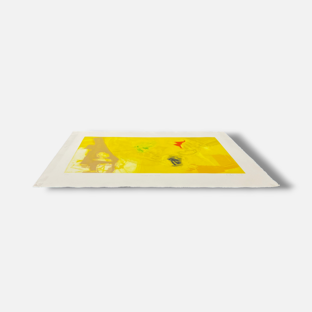 Joaquín Capa Eiriz "Yellow & Colors" 1999 Limited Signed Fine Wall Art Print