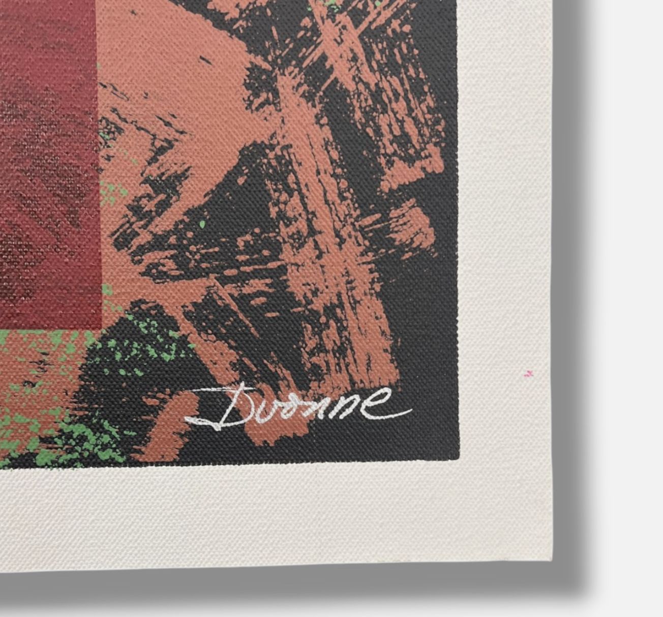 Ivonne Ferrer "Serie Abandonados II" 2002 Limited Signed Wall Art Print