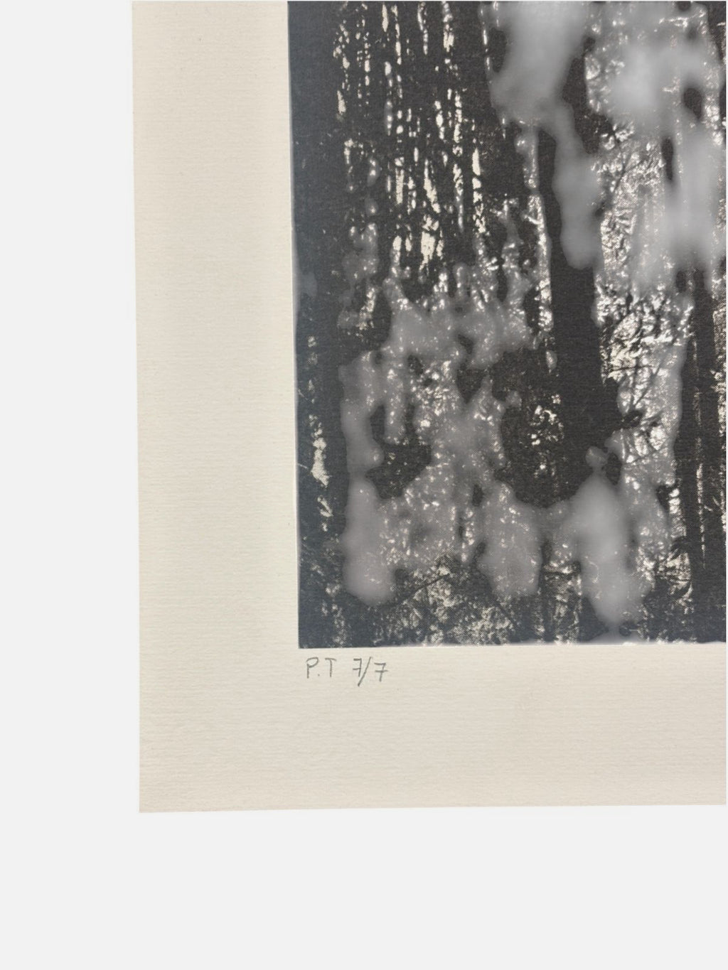 Alberto Carneiro ''Os Caminhos da Floresta'' P.T 2004 Limited Signed Art 69Lx81W