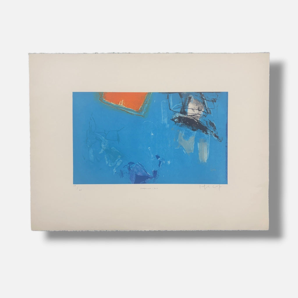 Joaquín Capa Eiriz "Naranja - blu" /65 Limited Signed Fine Wall Art 56L x 76W cm