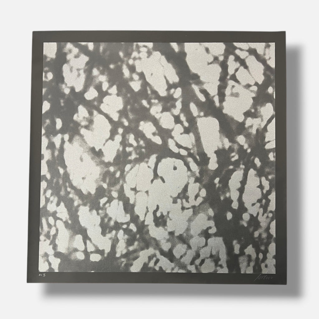 Ángeles San José "Black Trees" H.C. 2006 Limited Signed Wall Art, 80 x 80 cm