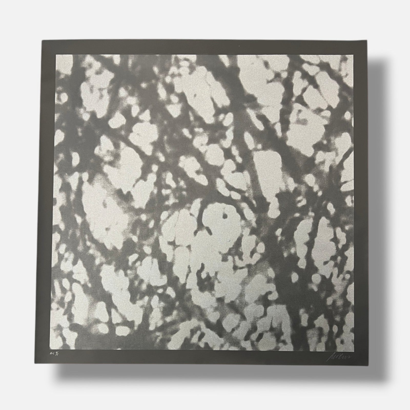 Ángeles San José "Black Trees" H.C. 2006 Limited Signed Wall Art, 80 x 80 cm