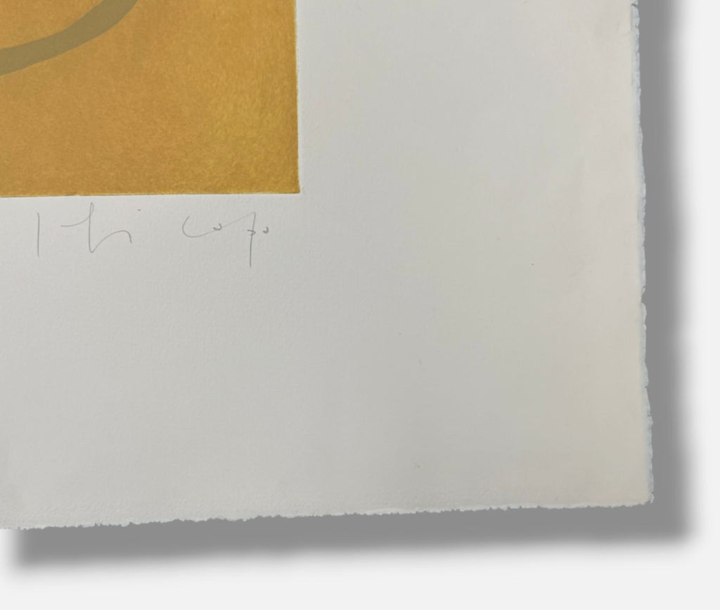 Joaquín Capa Eiriz "Ochre and Colours" Limited Signed Fine Wall Art Print