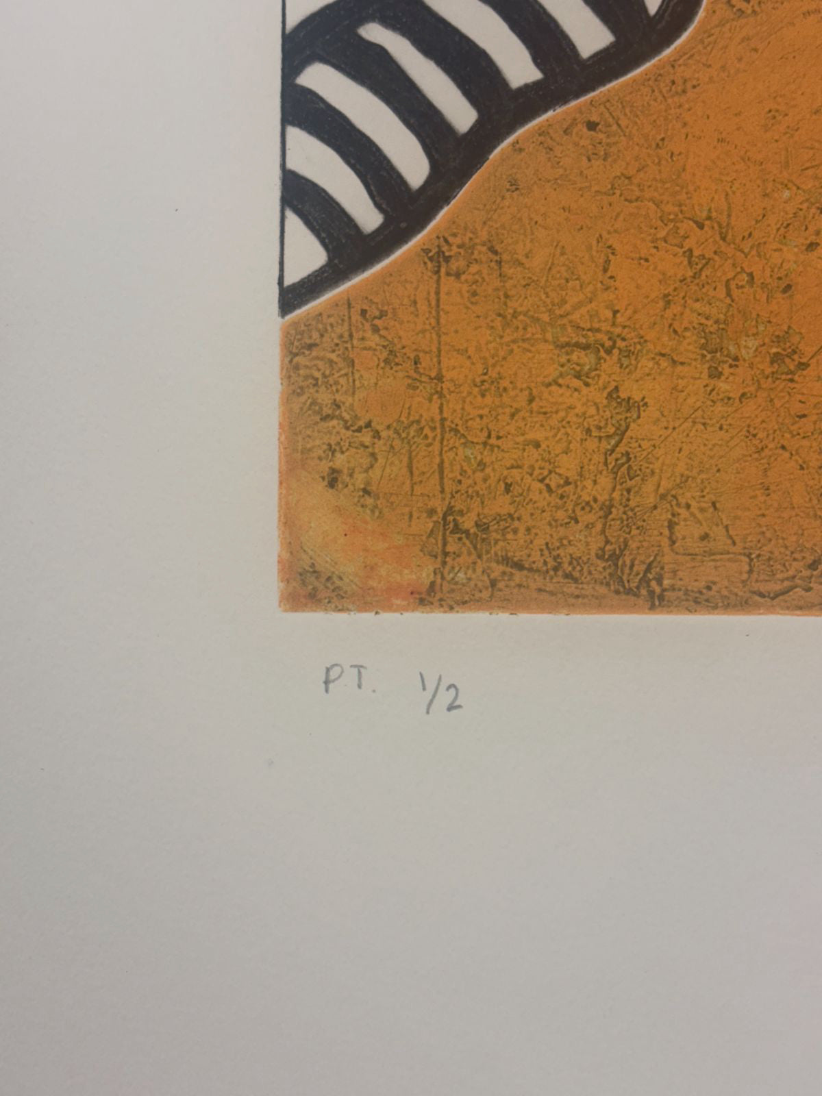 Osvaldo Matamoros "Sin Titulo" 2004 P.T. Limited Signed Fine Wall Art 76Lx56W cm