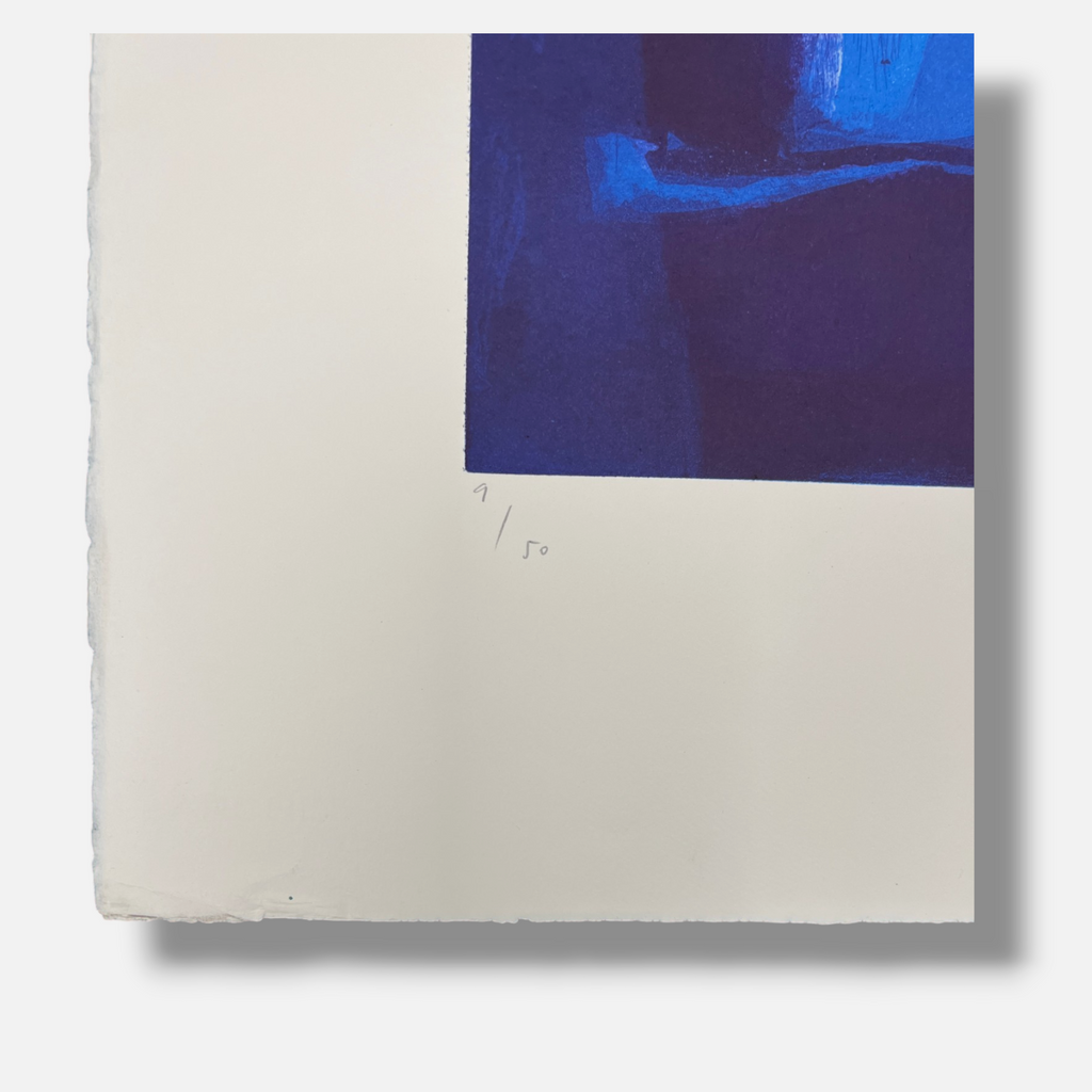 Joaquín Capa Eiriz "Blue Yellow" 1999 Limited Signed Fine Wall Art Print