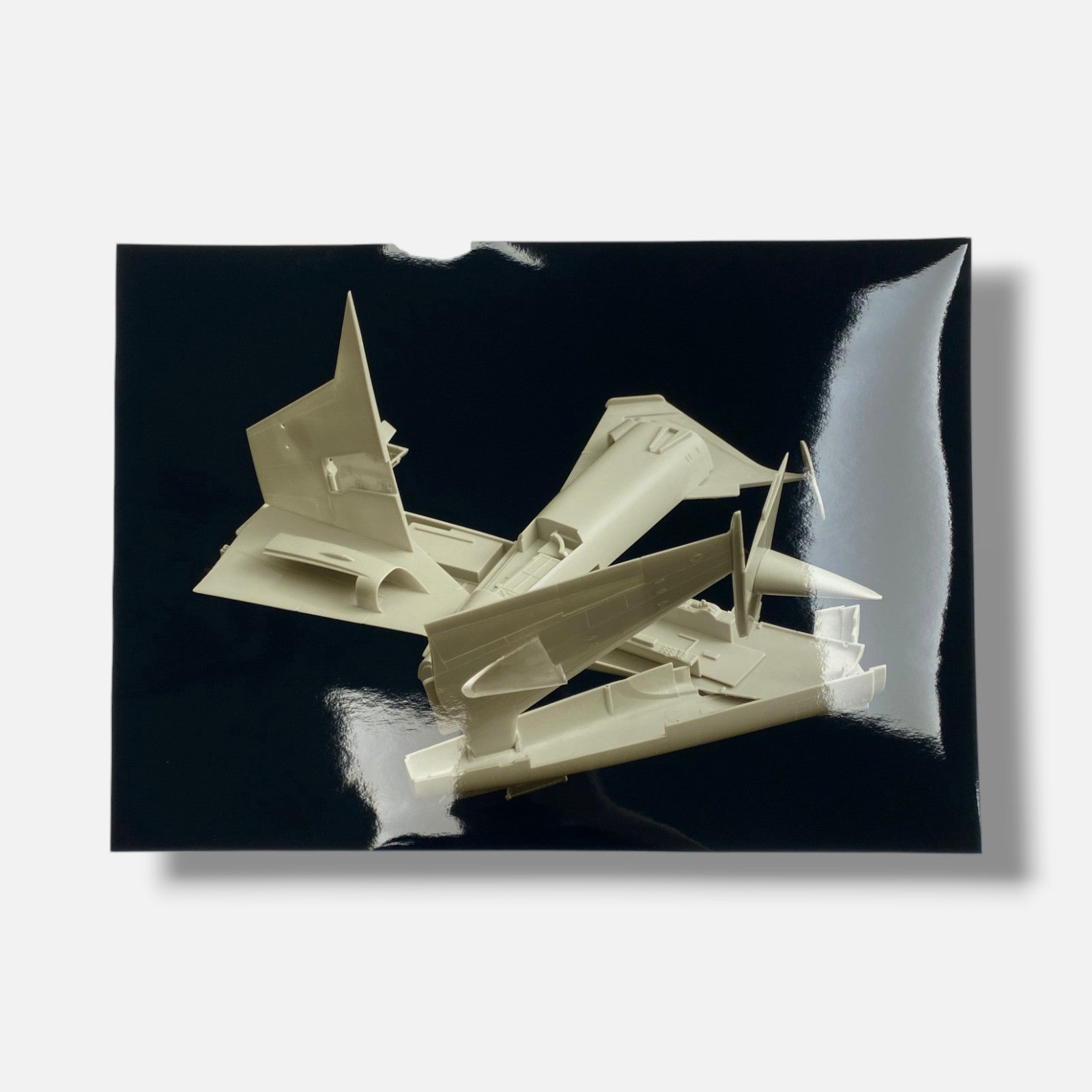 Joan Fontcuber "Pin Zhuang" 2004, Art Photography Multimedia & Book Set