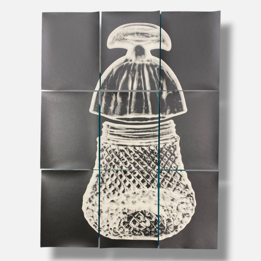Sylvie Bussières "Sèrie Inutiles de Cristal" Foto No.4 Photogram Mural Wall Art