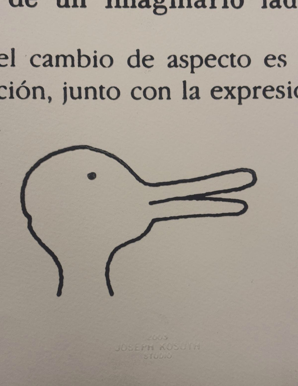 Joseph Kosuth "Borges y el Pato-Coneju" P.T. 2003 Limited Signed Wall Art, 50x50