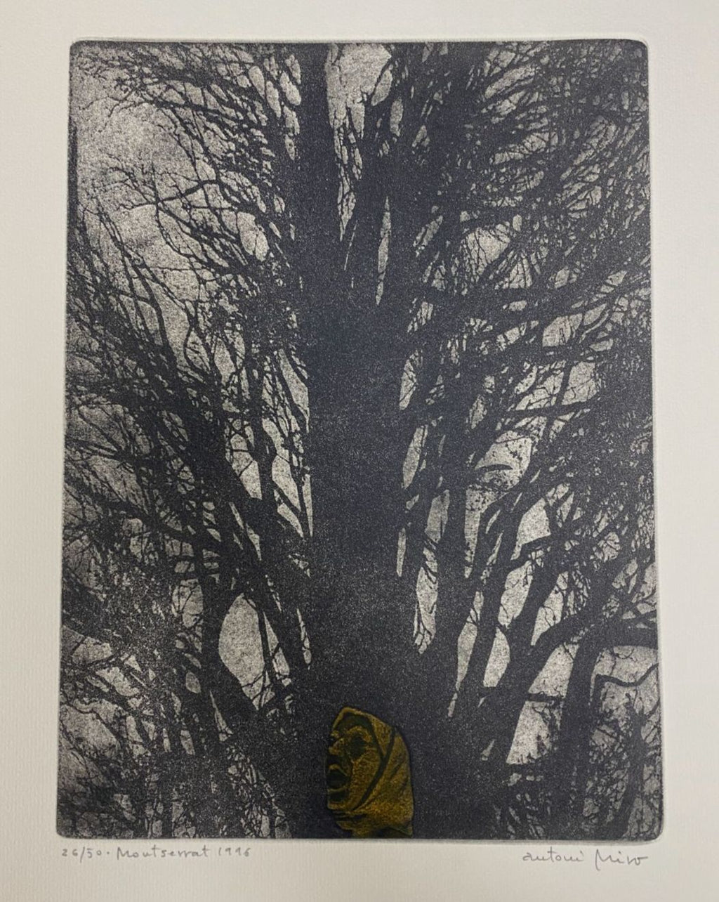 Antoni Miró Bravo "Montserrat" Fine Wall Art | 15 x 21"