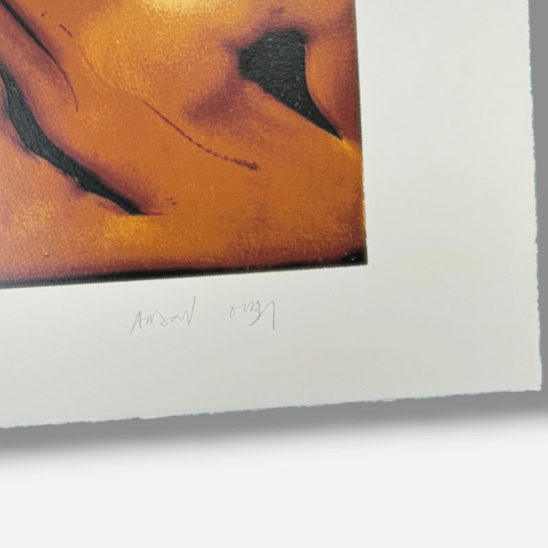 Andoni Euba Fuentes "Celosia De Raiz" 2006 Limited Signed Wall Art