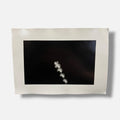 Toni Crabb "FIber 1 (Moths) VI" Limited Signed Art Photography Print, 12x17 cm