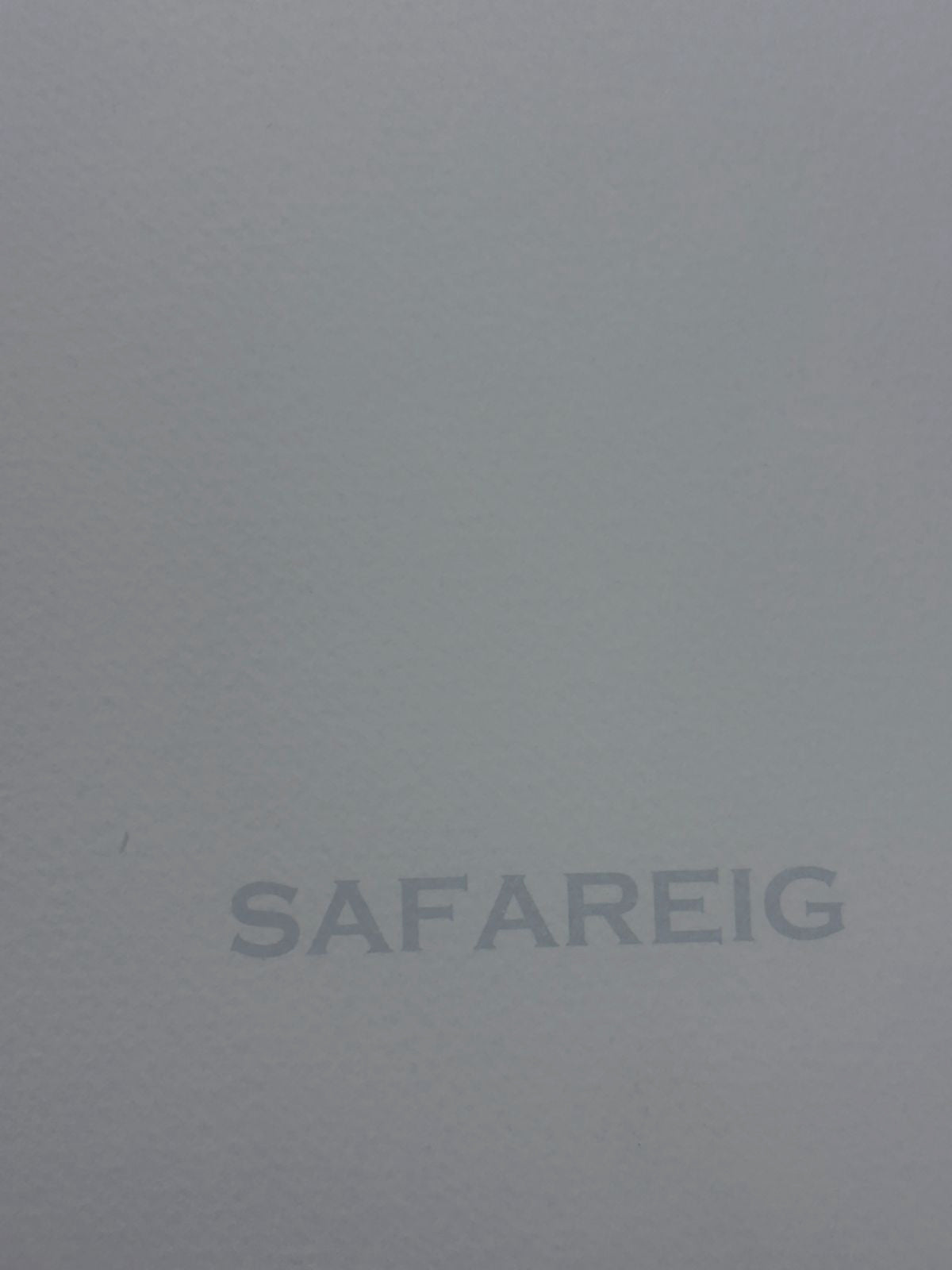 Albert Ràfols-Casamada "Safareig" H.C. 2004 Limited Signed Wall Art Print 50x65