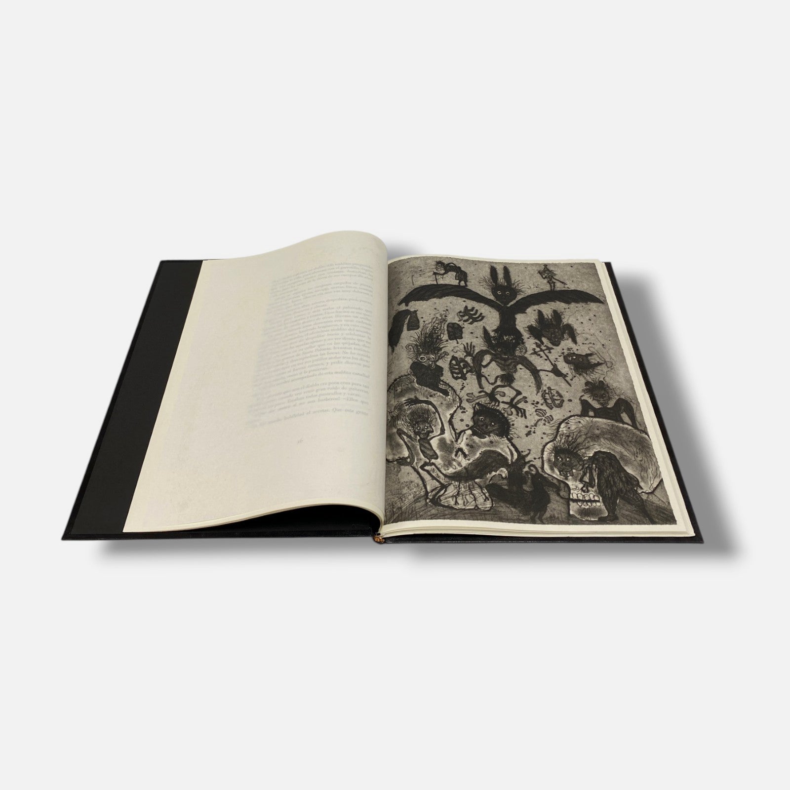 Sergio Hernández "Sueño De La Muerte" 9-Piece Fine Art Book Set | 56.5 x 76 cm