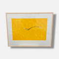 Salvatore Pupillo "Arco" 2003, Limited Fine Wall Art Print | 80 x 60 cm