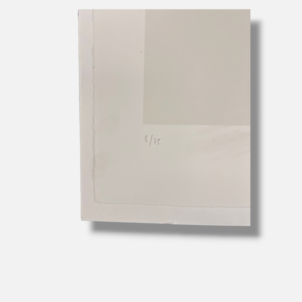 Martí Cormand Rifà "24 - Planes Per Second" 2001 Limited Signed Fine Wall Art
