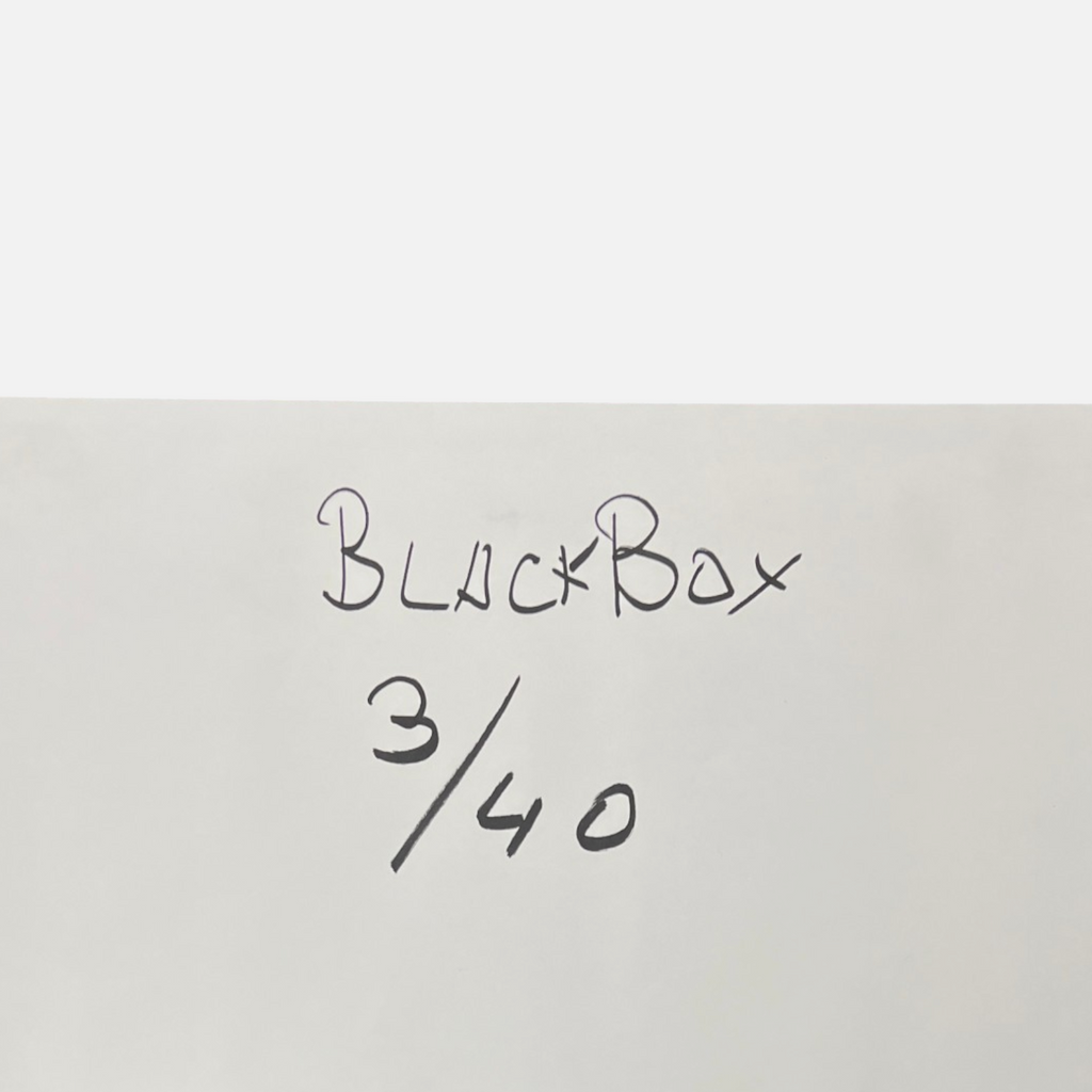 Wolfgang Berkowski "Black Box" 2005, Fine Art