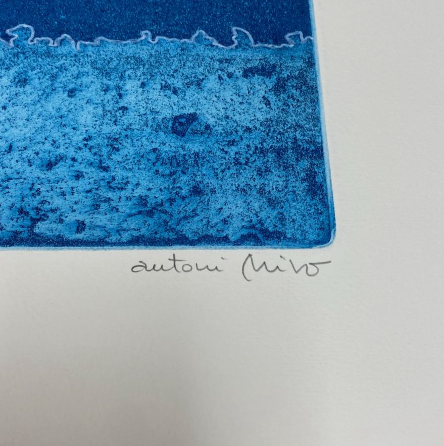 Antoni Miró Bravo "Mare Nostre IV" Fine Wall Art | 15 x 21"