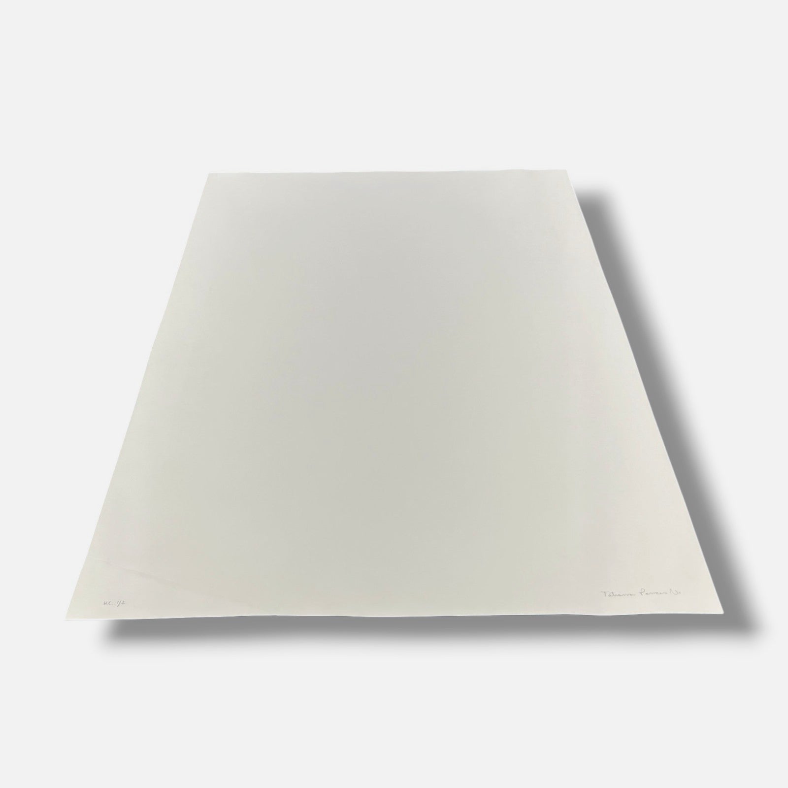Tatiana Parcero "Re-Invento #3" 2006 Limited Signed Wall Art | 70 x 100 cm