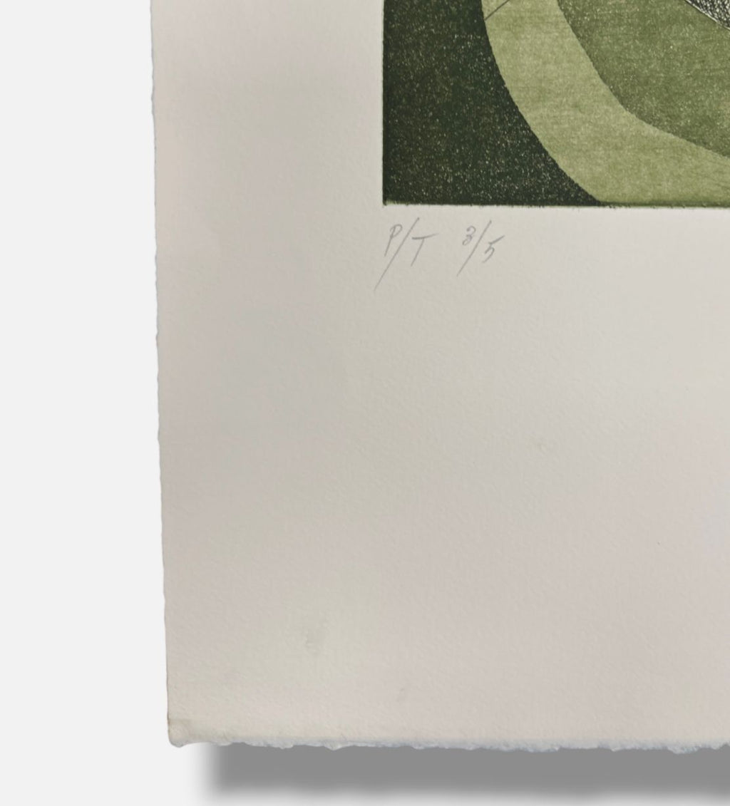 Eduardo Arranz-Bravo De Laguna "Equilibrio" Limited P.T Signed Fine Wall Art