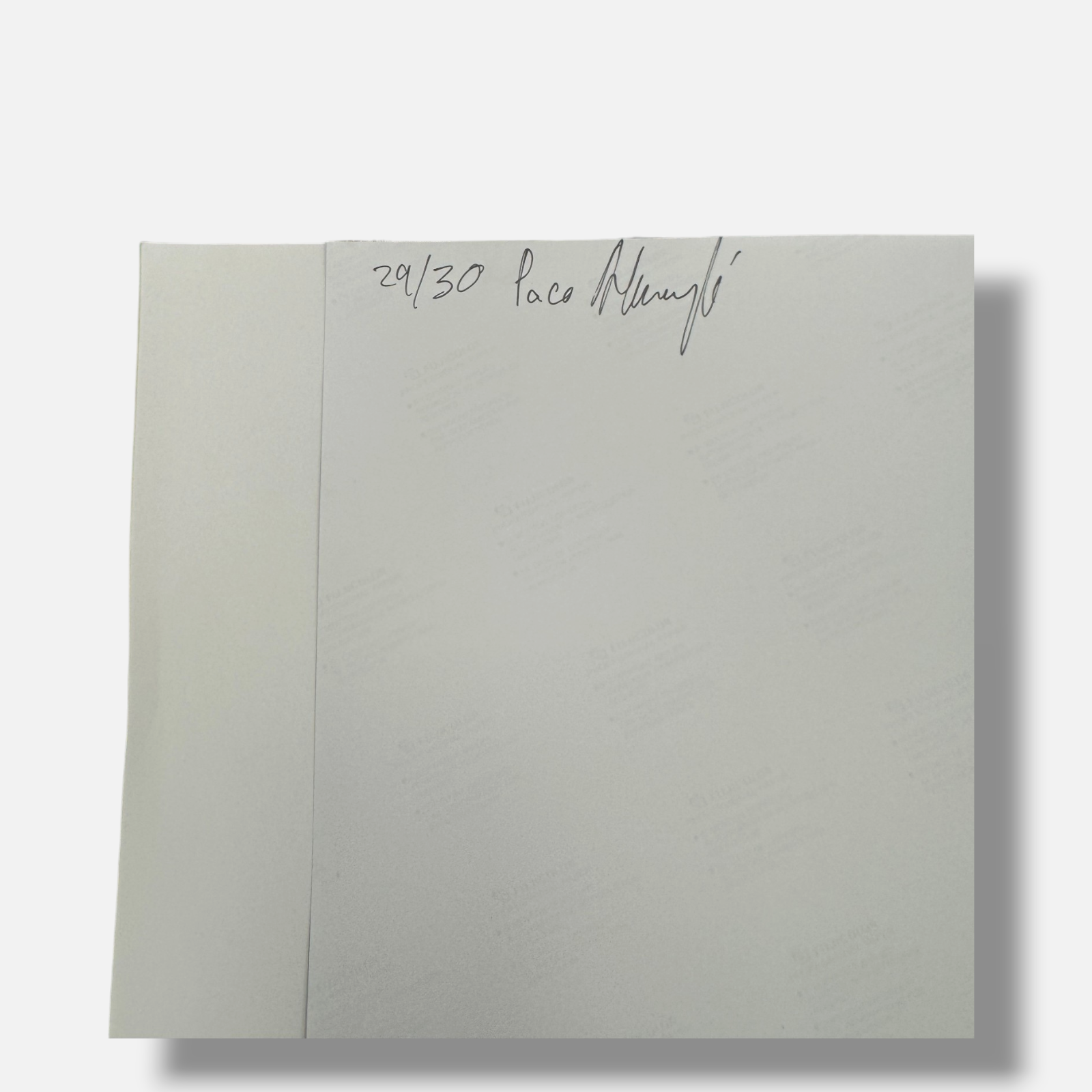 Paco González Almengló "Hikiko Mori I (Gris)" 2003 Limited Signed Wall Art