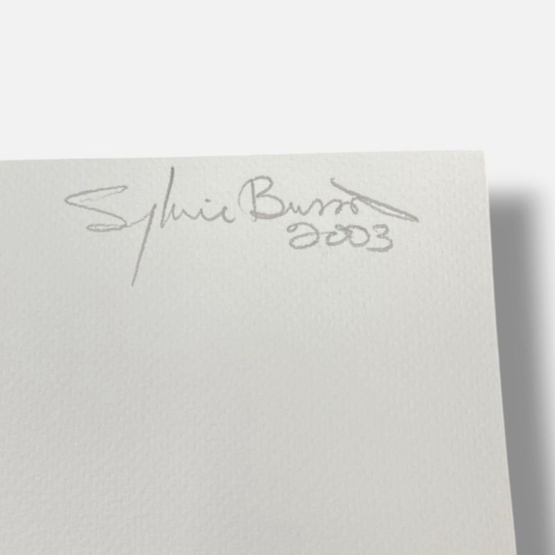 Sylvie Bussières "Sèrie Inutiles de Cristal" Foto No.1 Photogram Mural Wall Art