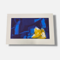 Joaquín Capa Eiriz "Blue Yellow" 1999 Limited Signed Fine Wall Art Print