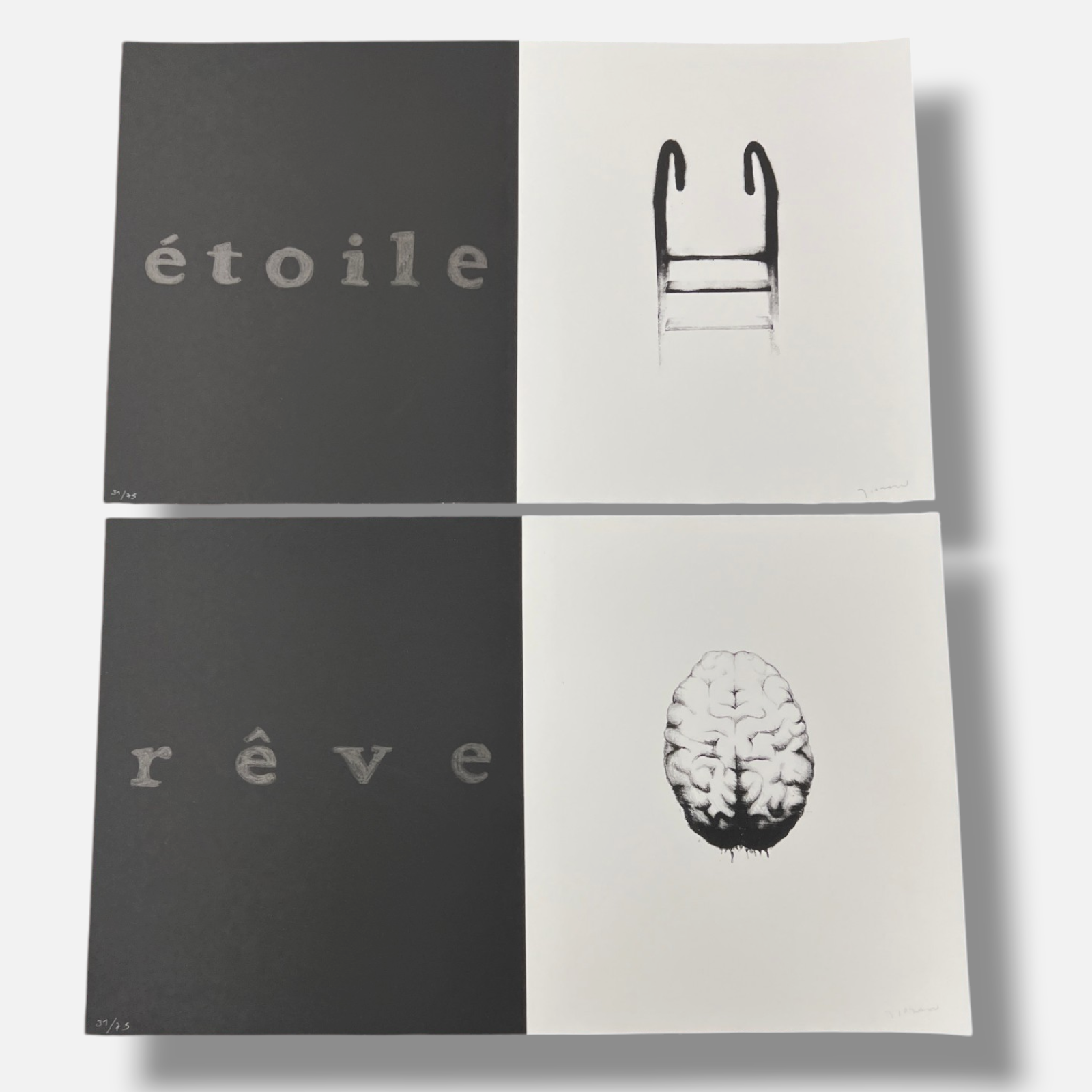 Javier Lozano "Gesto y Sile" 2006 Limited Signed Wall Art 10-Piece Set, 48x30 cm