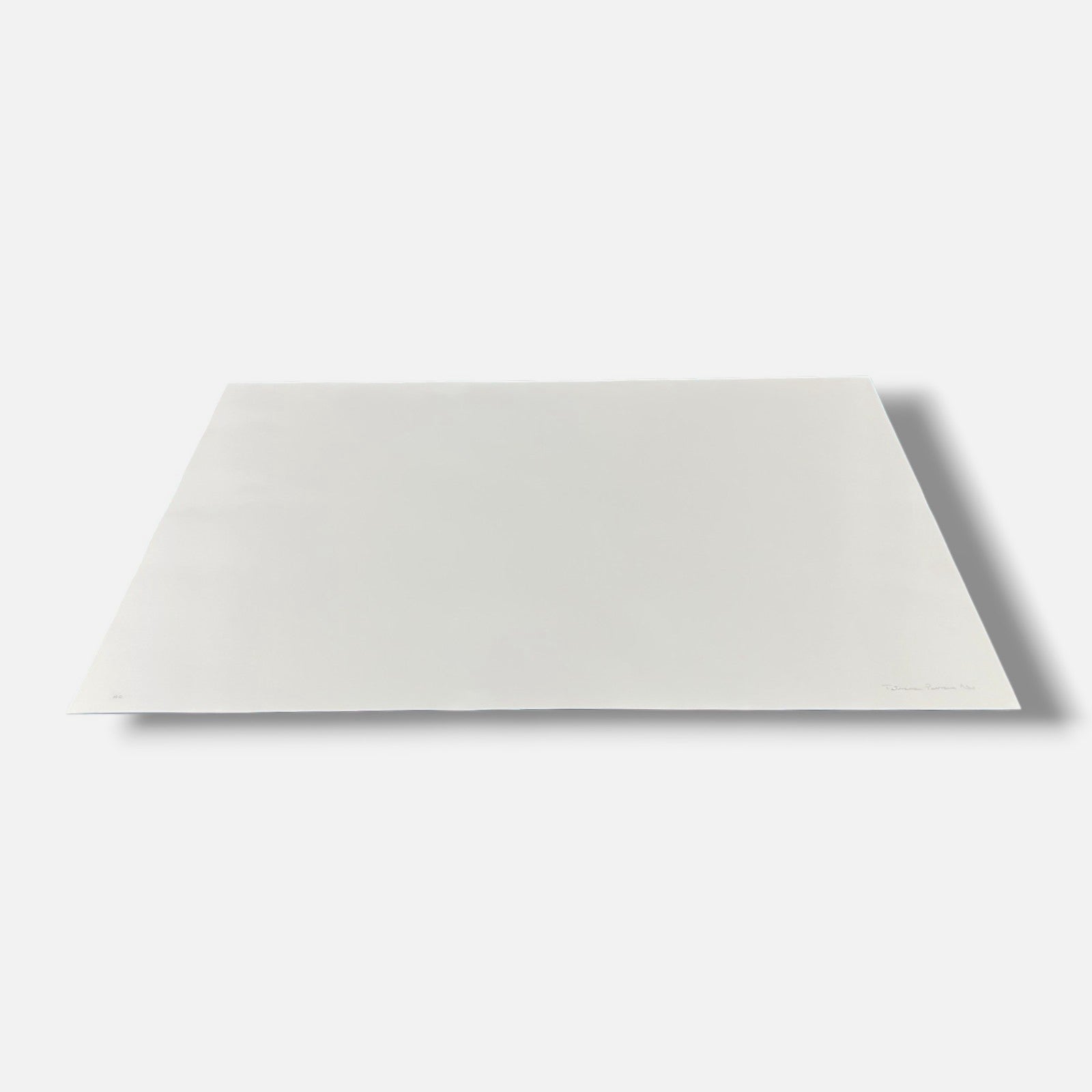 Tatiana Parcero "Re-Invento #18" 2006 Limited Signed Wall Art | 70 x 100 cm