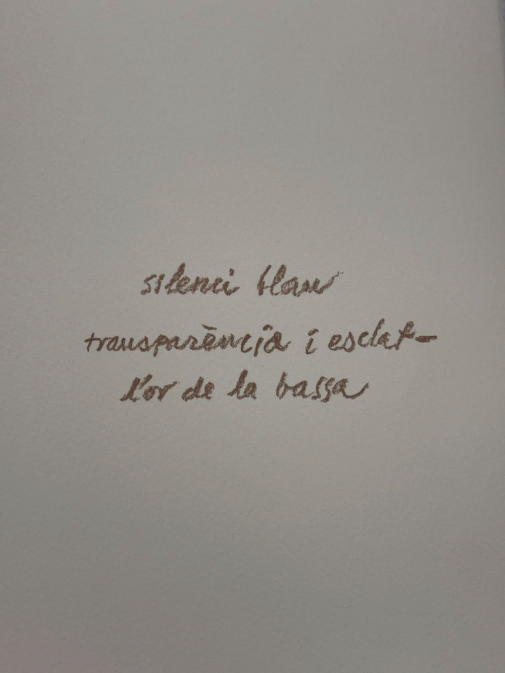 Albert Ràfols-Casamada "Bassa" 2004 Limited Signed Fine Wall Art Print 50x65 cm