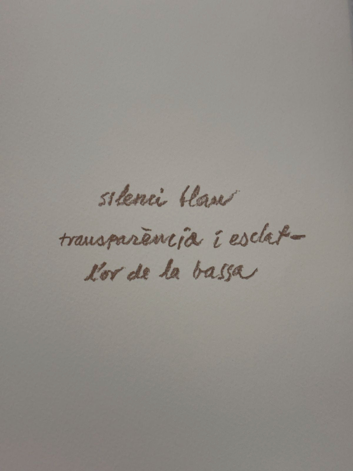 Albert Ràfols-Casamada "Bassa" 2004 Limited Signed Fine Wall Art Print 50x65 cm