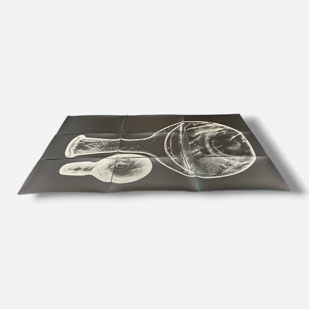 Sylvie Bussières "Sèrie Inutiles de Cristal" Foto No.2 Photogram Mural Wall Art
