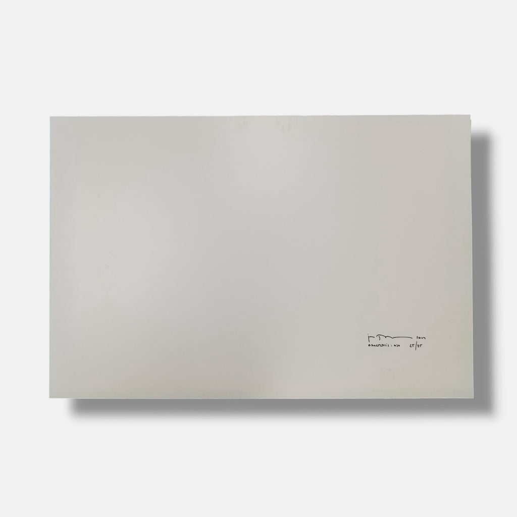 Joan Fontcuberta "Orogenesis: Ojo" 2003 Limited Signed Wall Art