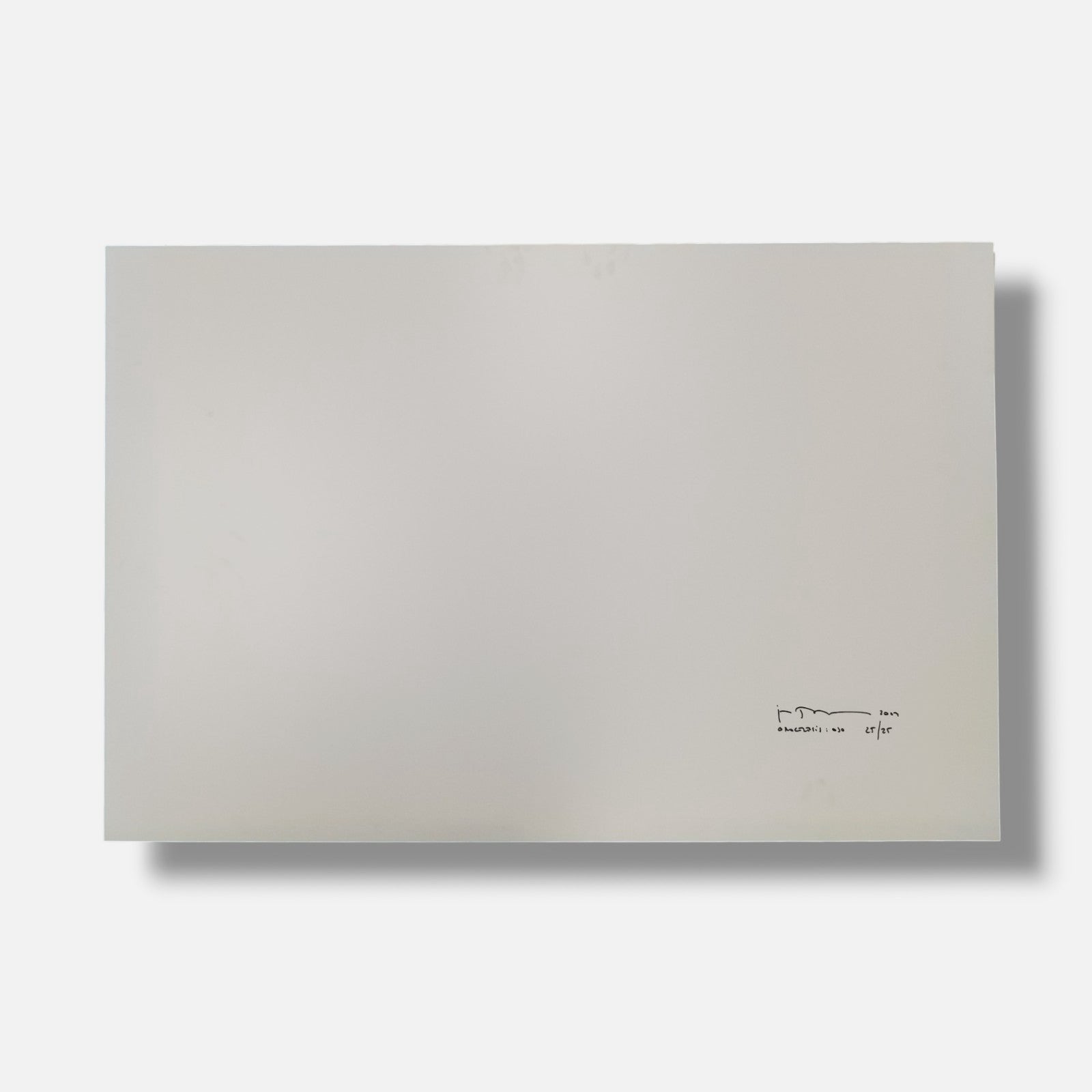 Joan Fontcuberta "Orogenesis: Ojo" 2003 Limited Signed Wall Art