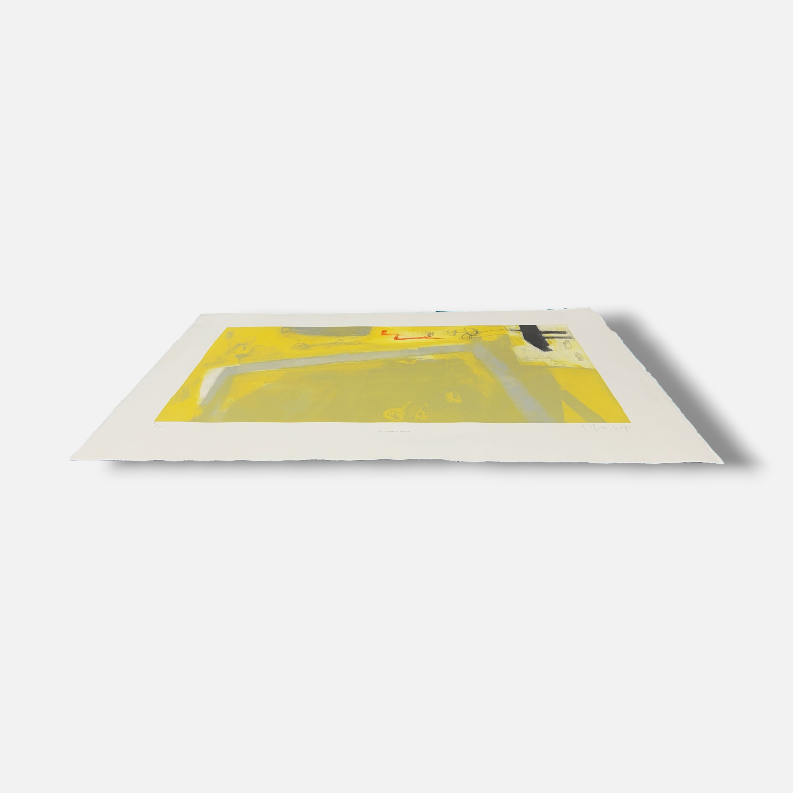 Joaquín Capa Eiriz "Yellow Grey" Limited Signed Fine Wall Art Print