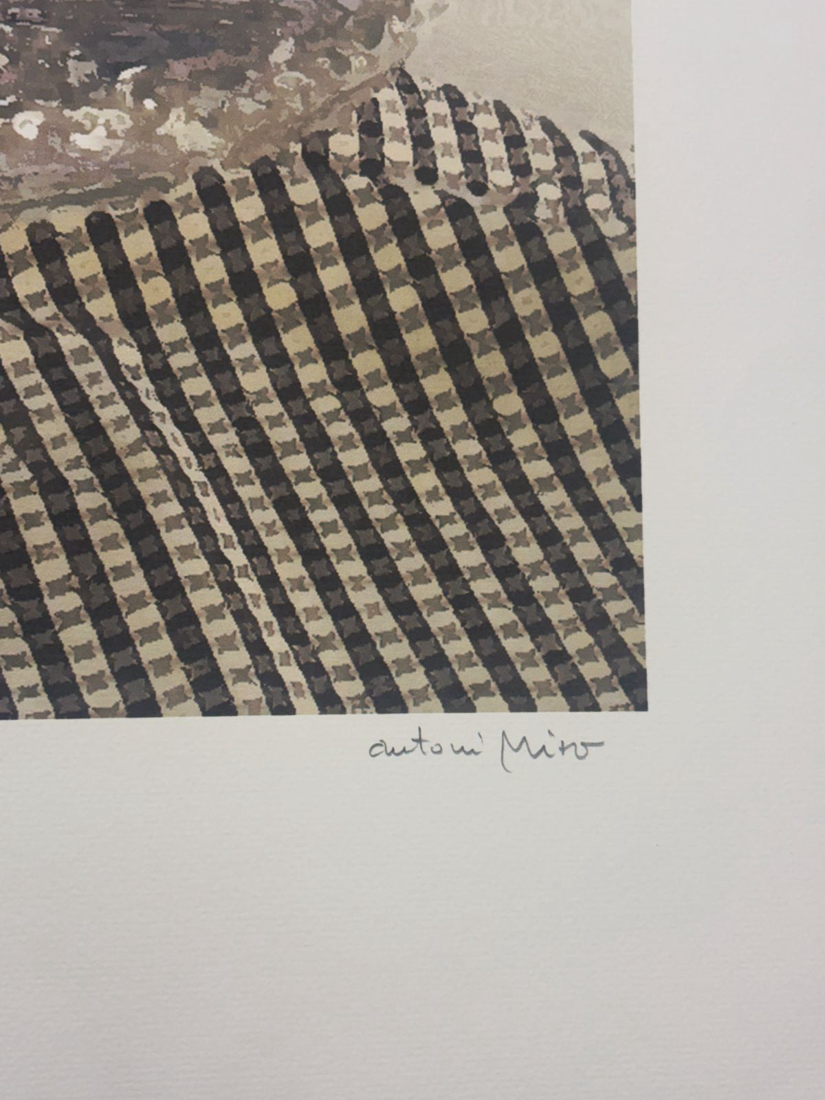 Antoni Miró Bravo "Tomaca reial" /99 2003 Limited Signed Fine Wall Art 75Lx55Wcm
