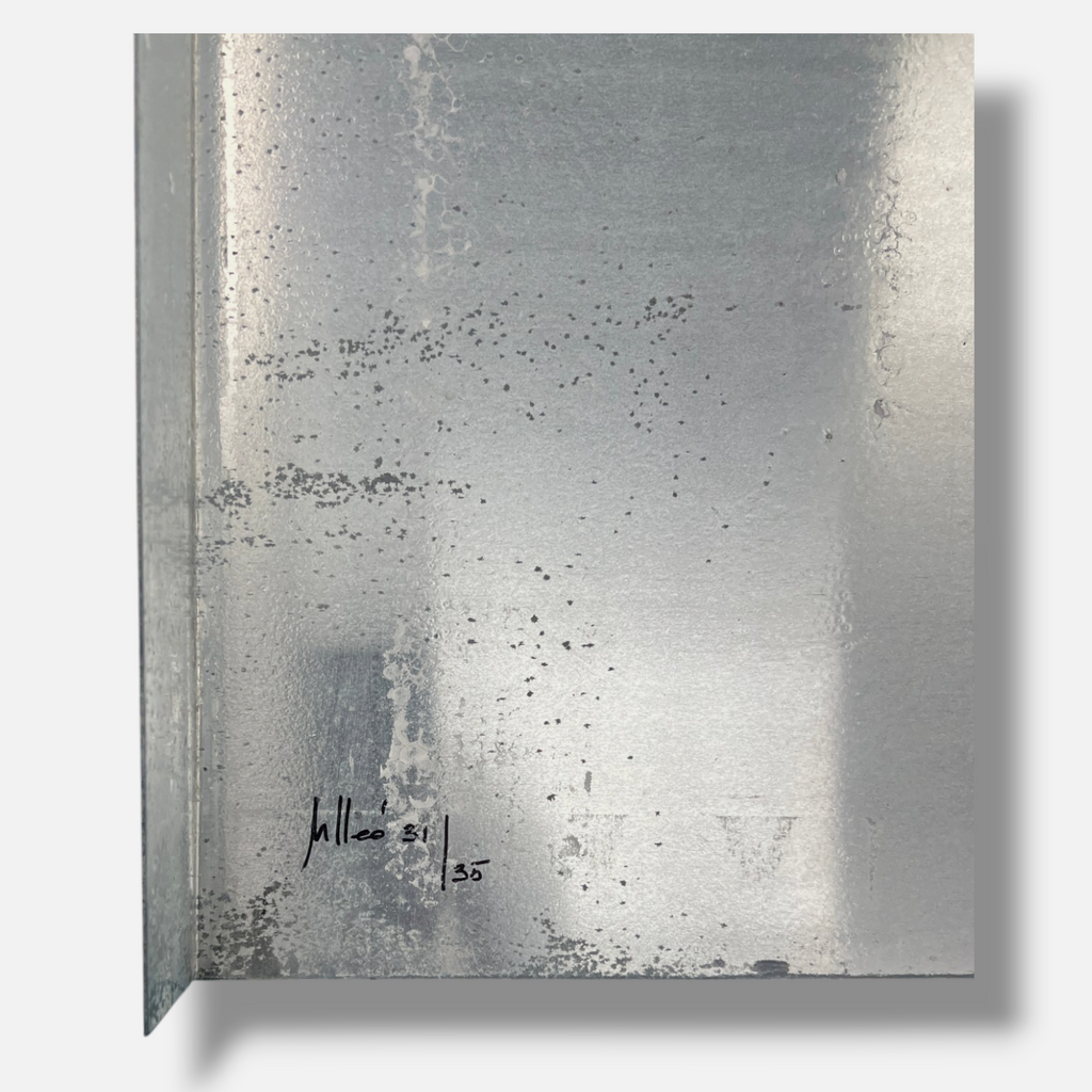 Mónica Casanova "Catenaria III" 2005, Limited Signed Wall Art | 30x100 cm