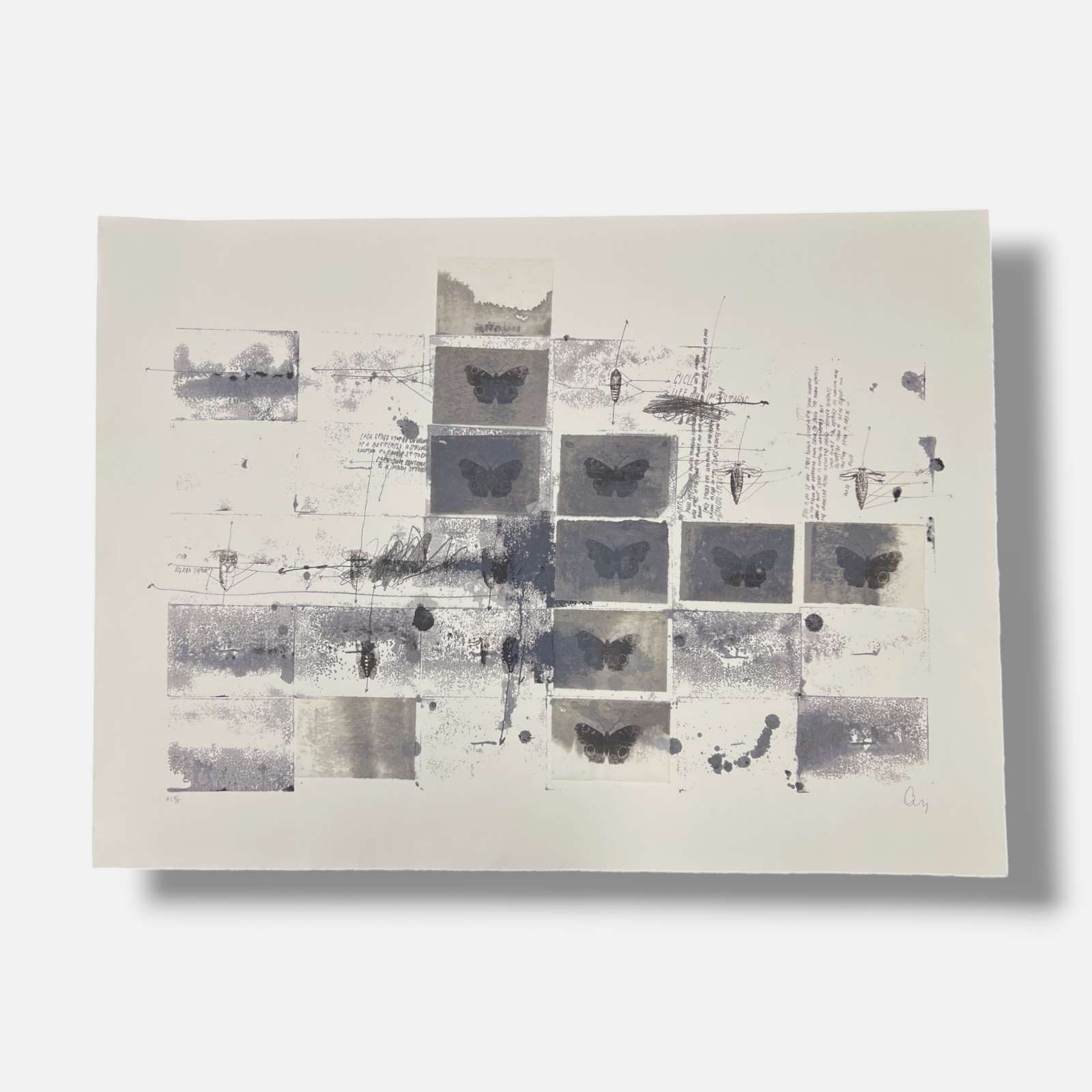 Ricardo Brey "Sin Titulo II" Limited Signed Fine Wall Art