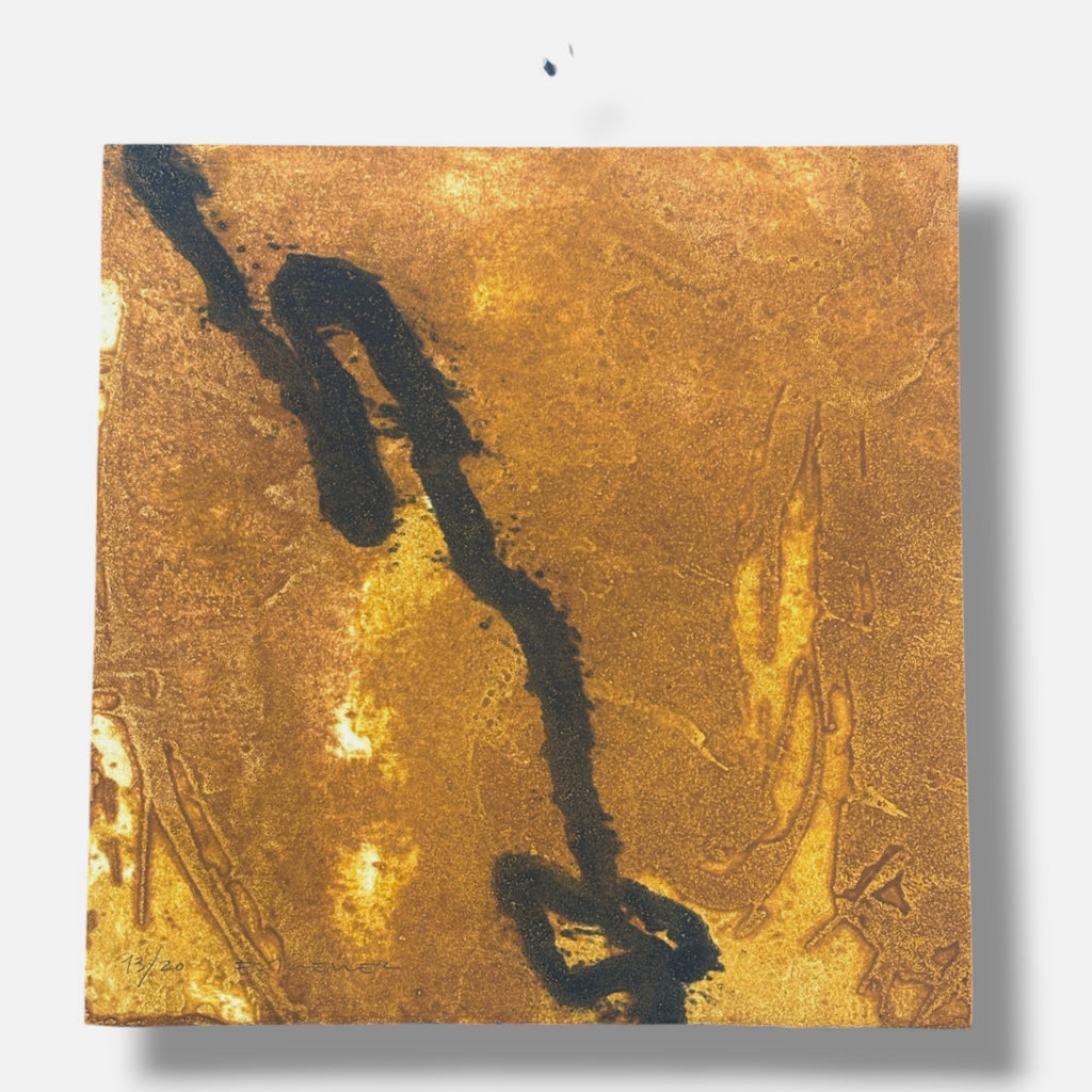Elena Jiménez Moreno "Serie: Muestra deTierra" Limited Signed Wall Art 38Lx38Wcm