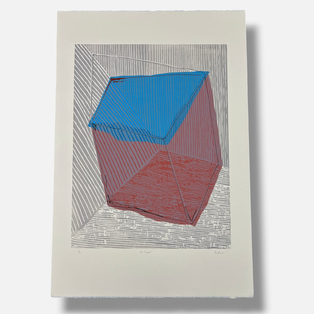 Erik Kirksaether "A Traves" 2005 Limited Signed Fine Wall Art Print, 112 x 76 cm
