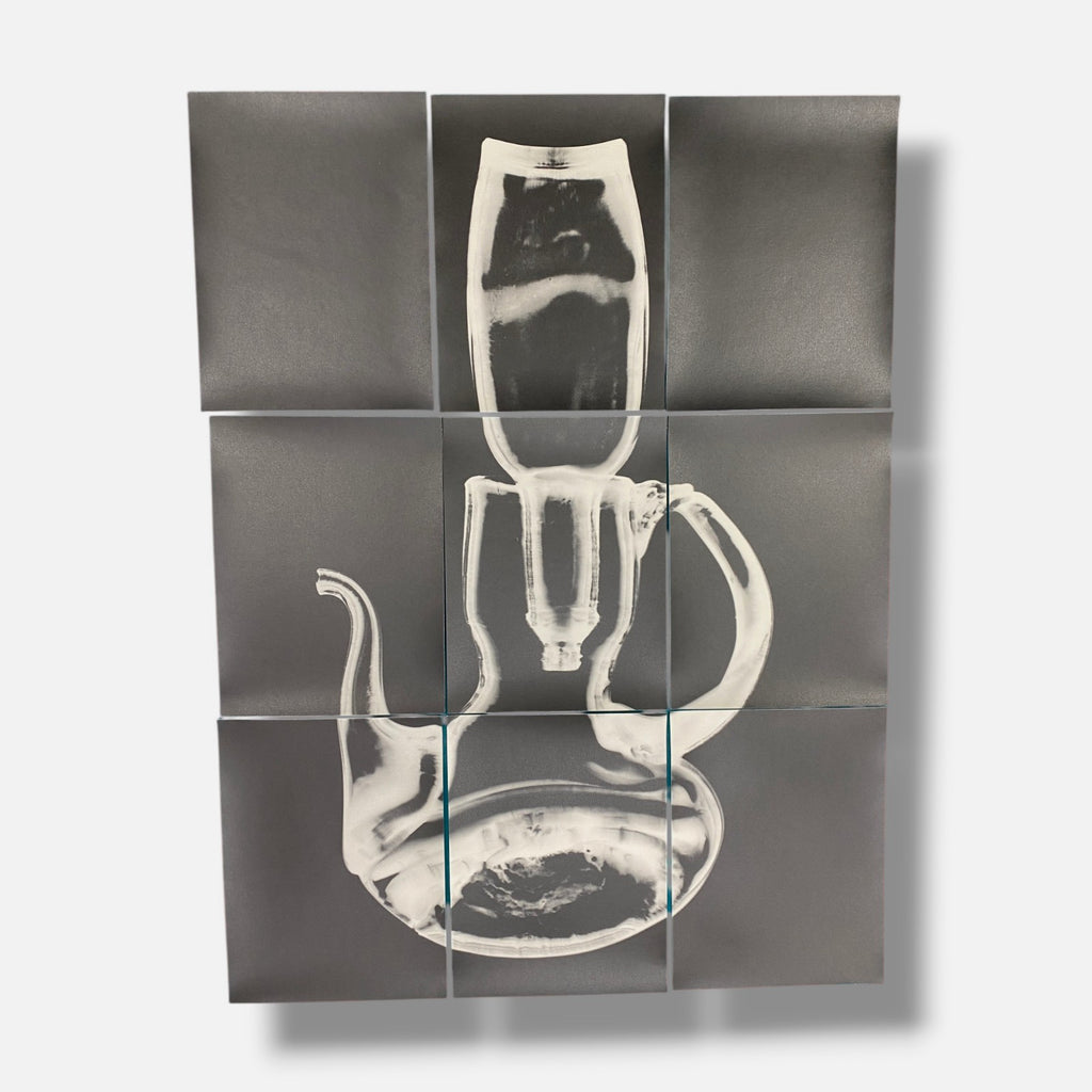 Sylvie Bussières "Sèrie Inutiles de Cristal" Foto No.1 Photogram Mural Wall Art