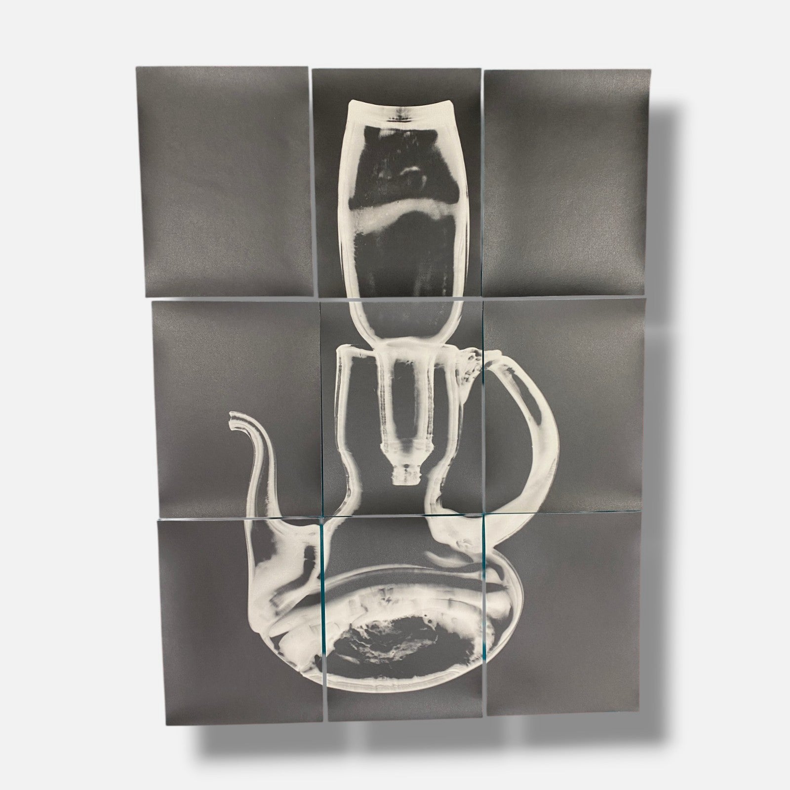 Sylvie Bussières "Sèrie Inutiles de Cristal" Foto No.1 Photogram Mural Wall Art