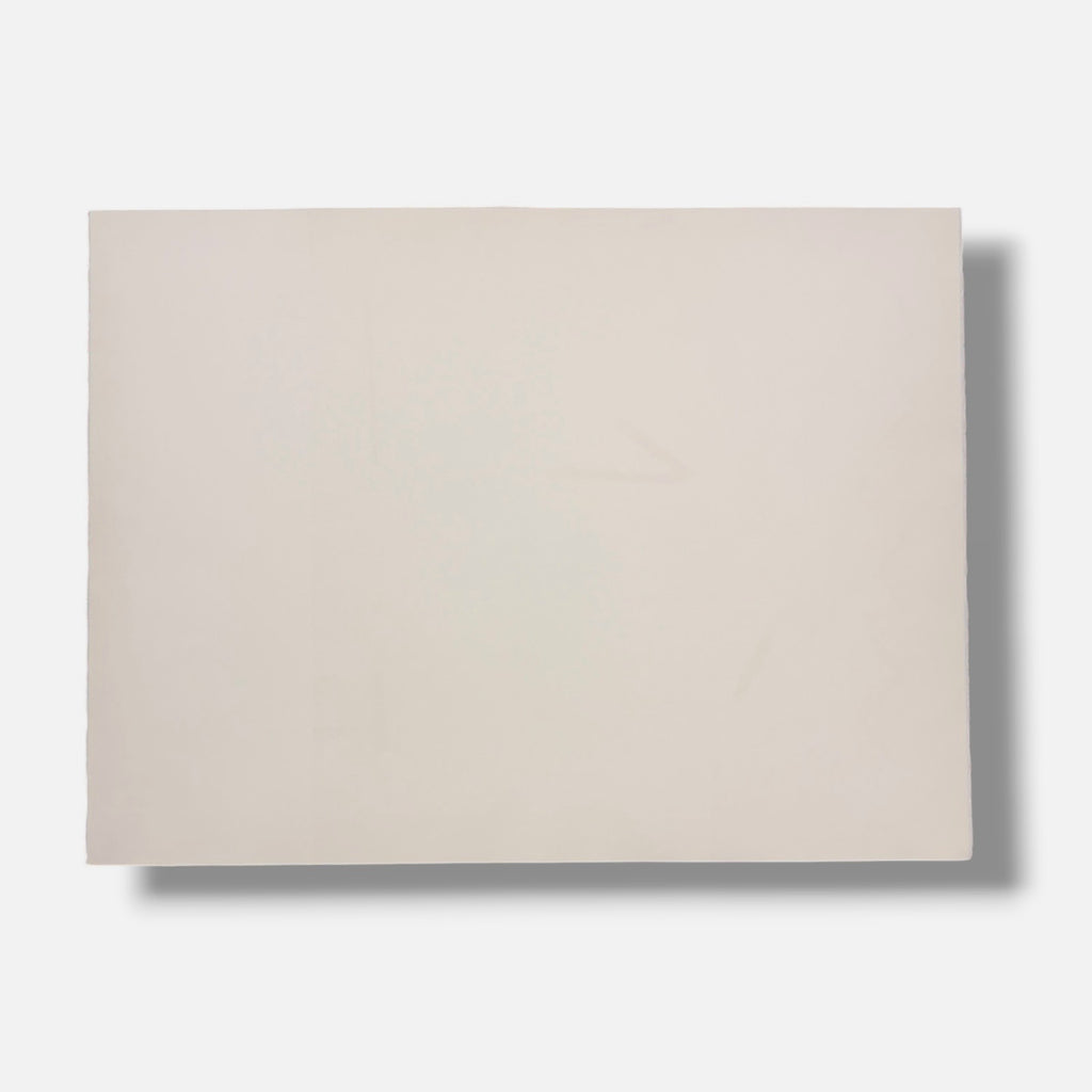 Albert Ràfols-Casamada "Bassa" 2004 Limited Signed Fine Wall Art Print 50x65 cm