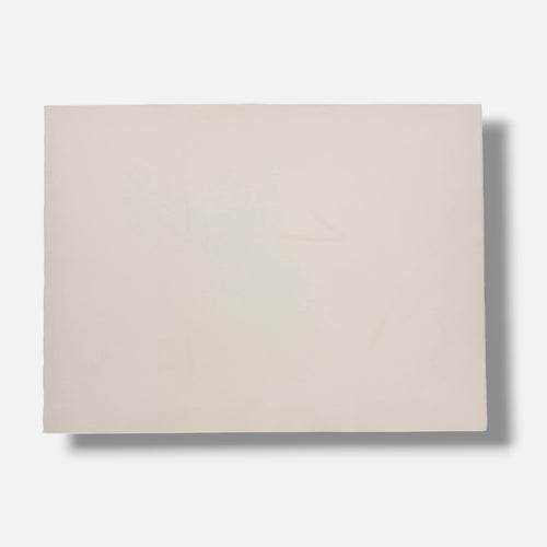 Albert Ràfols-Casamada "Bassa" 2004 Limited Signed Fine Wall Art Print 50x65 cm