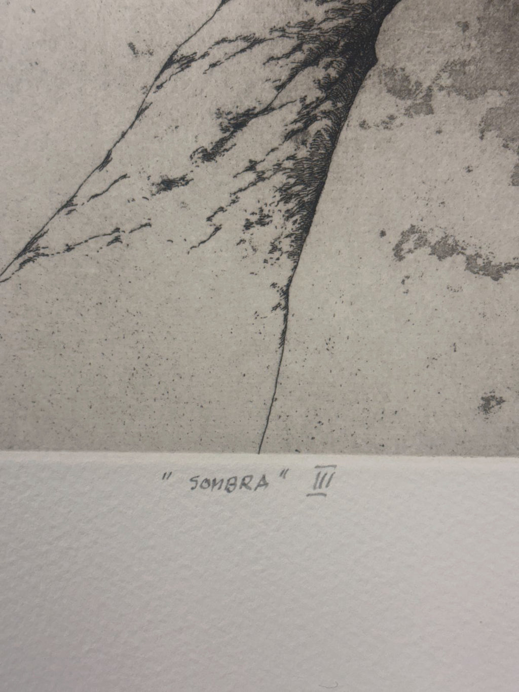 Jose Hernandez Muñoz "Sombra III" P.E. 2004 Signed Limited Fine Wall Art 50x65cm