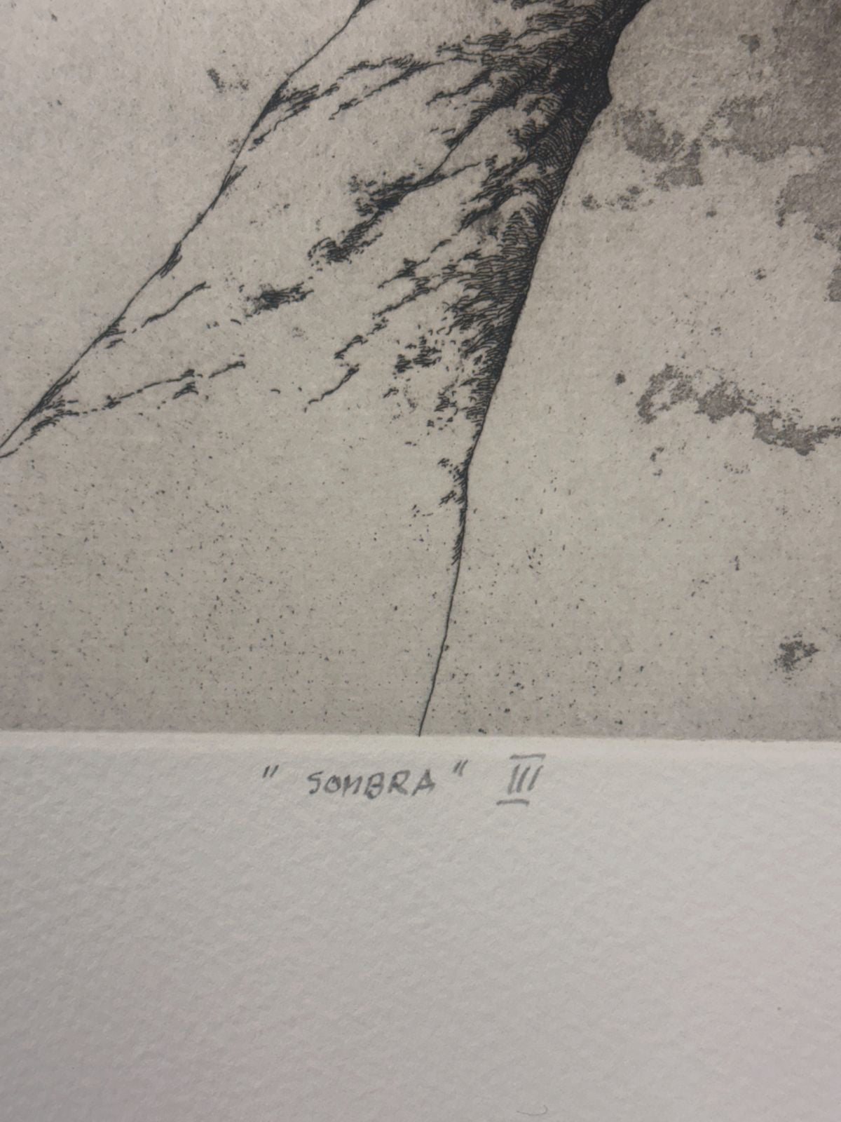 Jose Hernandez Muñoz "Sombra III" P.E. 2004 Signed Limited Fine Wall Art 50x65cm