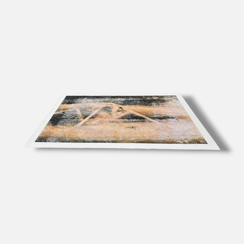 Doug and Mike Starn "Attracted to Light 19 (Ephemera)" Limited Signed Wall Art
