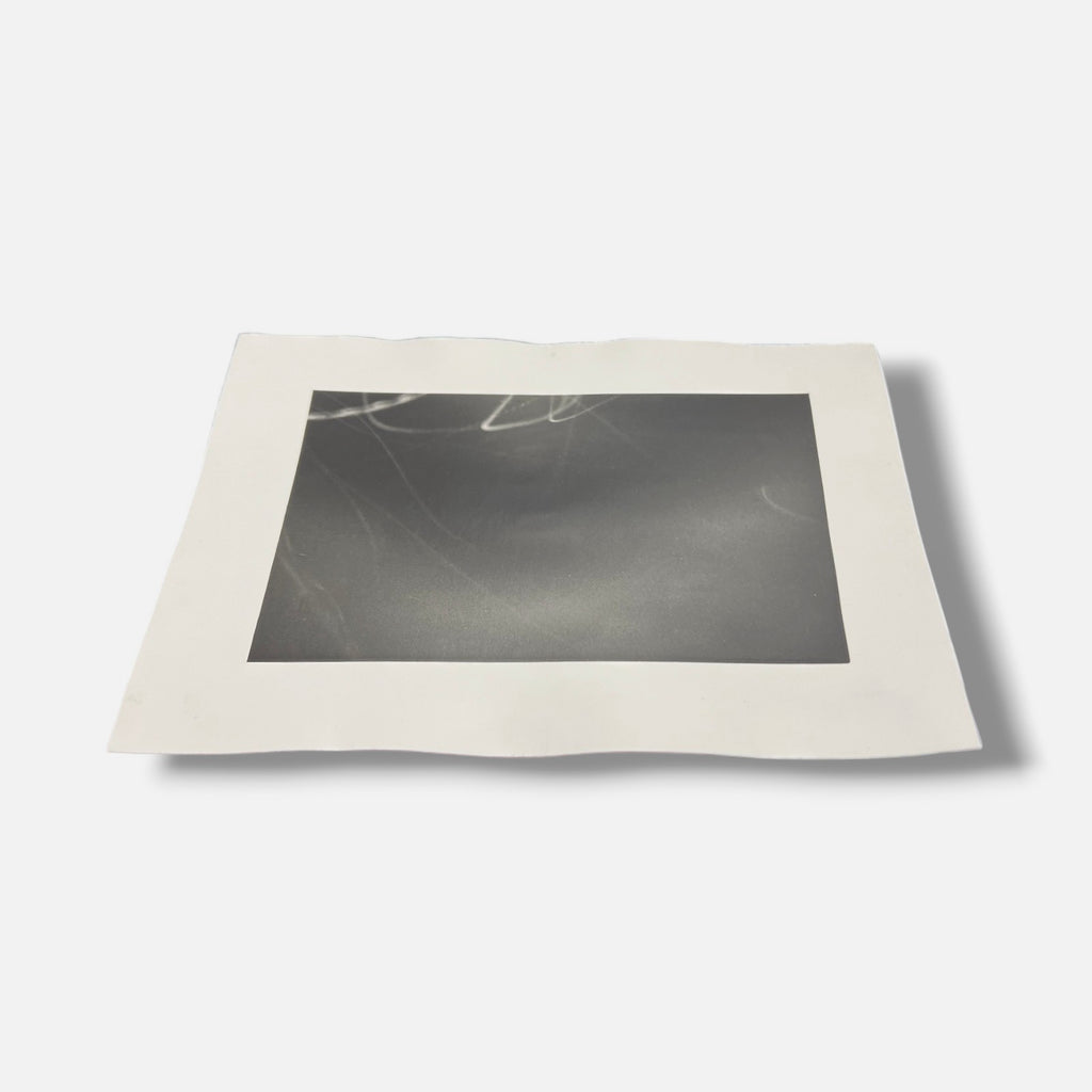 Toni Crabb "FIber 1 (Moths) II" Limited Signed Art Photography Print, 12 x 17 cm