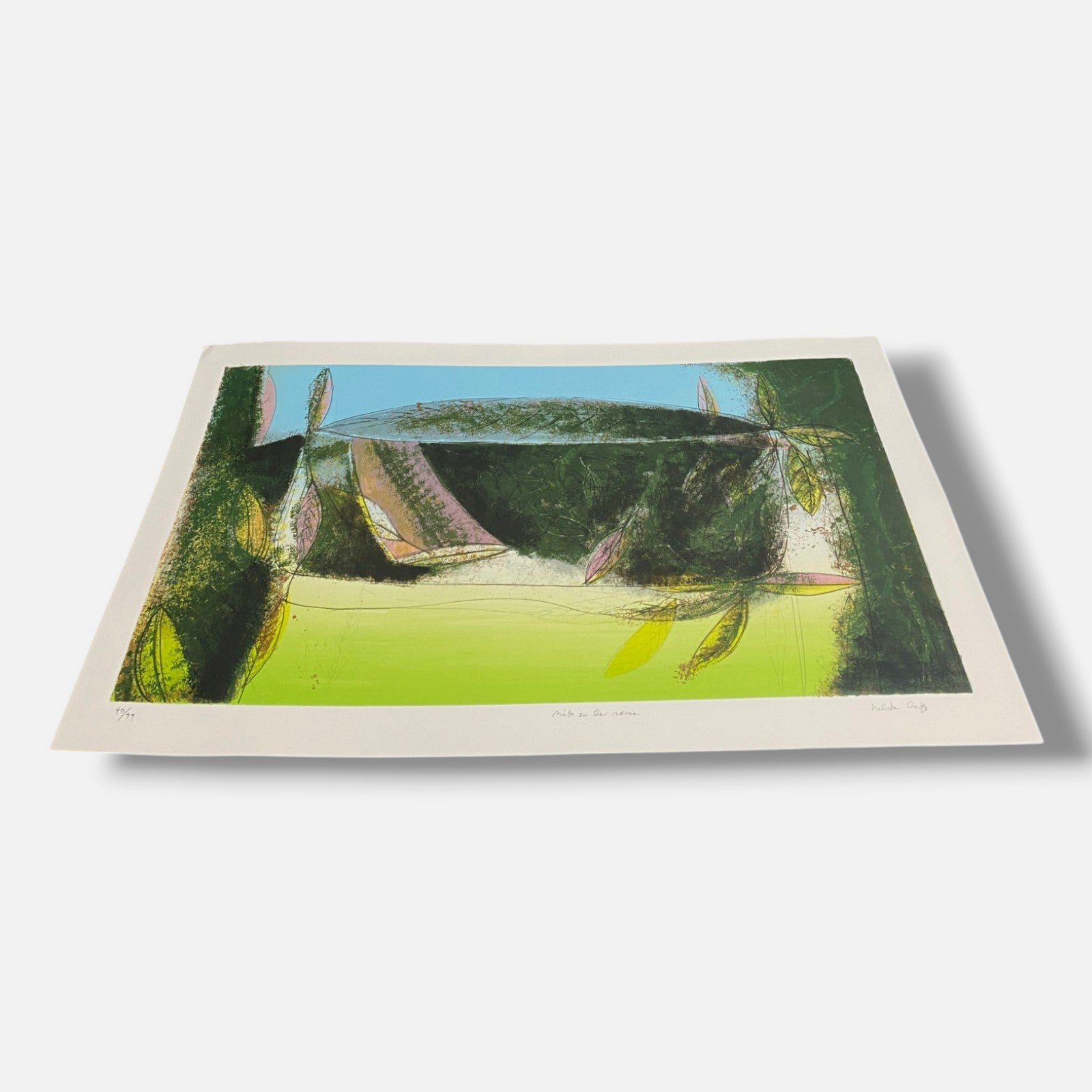 Nélida López Martínez "Nido En La Rama" 2005, Fine Wall Art | 77 x 45 cm