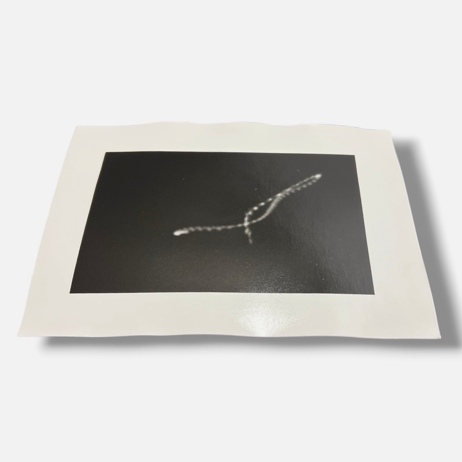 Toni Crabb "FIber 1 (Moths) IV" Limited Signed Art Photography Print, 12x17 cm