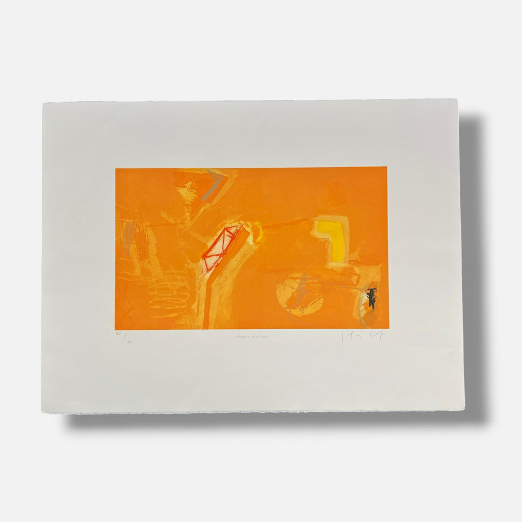 Joaquín Capa Eiriz "Orange + Yellow" /65 Limited Signed Fine Wall Art 56Lx76W cm